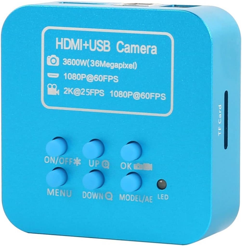 水嶋征夫 色紙2点 扇面画1点 ◇ 水嶋征夫 [ 喜心前進 ] ◇ 日本画